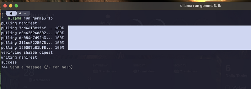 It downloads the model if you don't have it